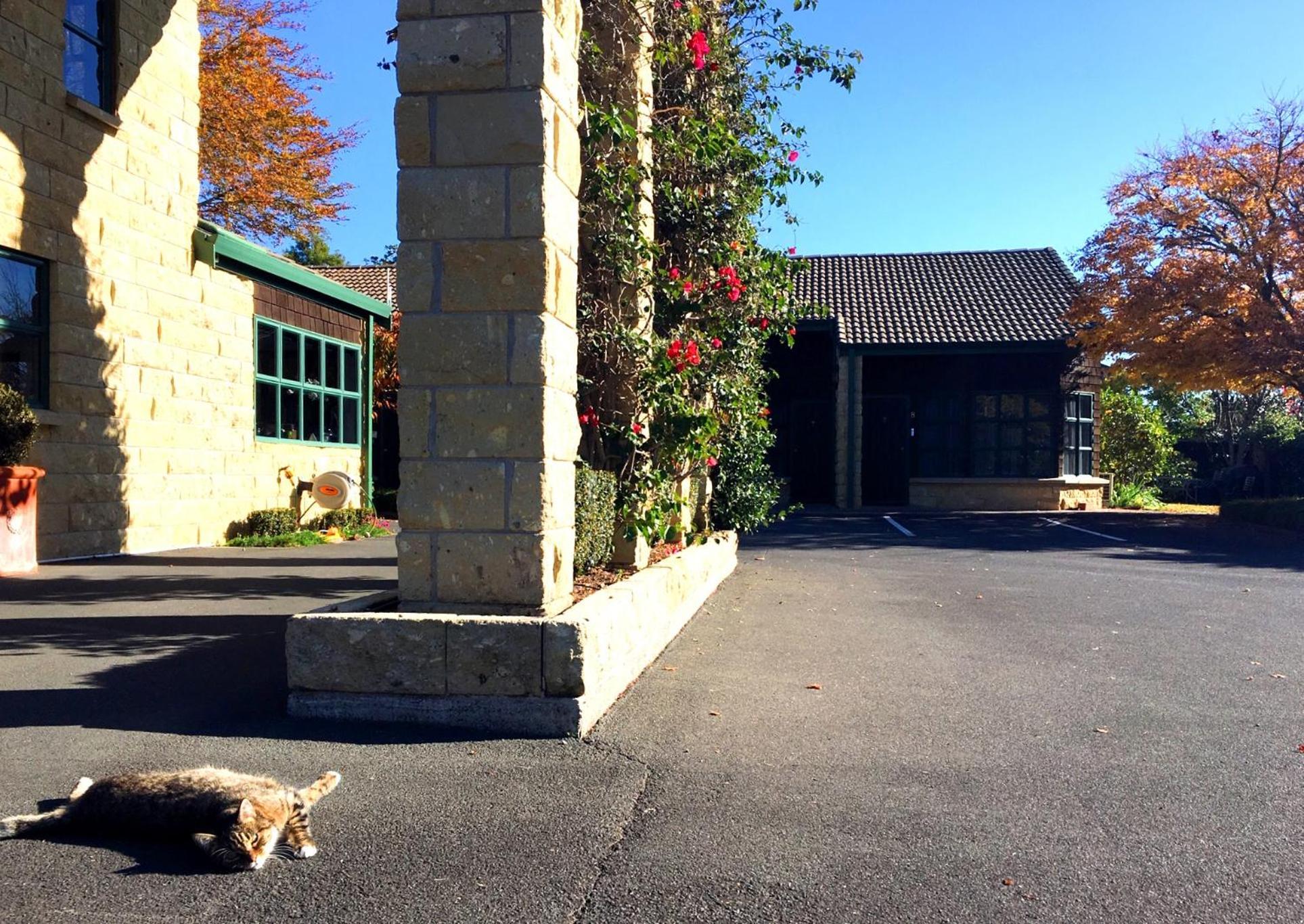 Cambridge Mews Motel מראה חיצוני תמונה
