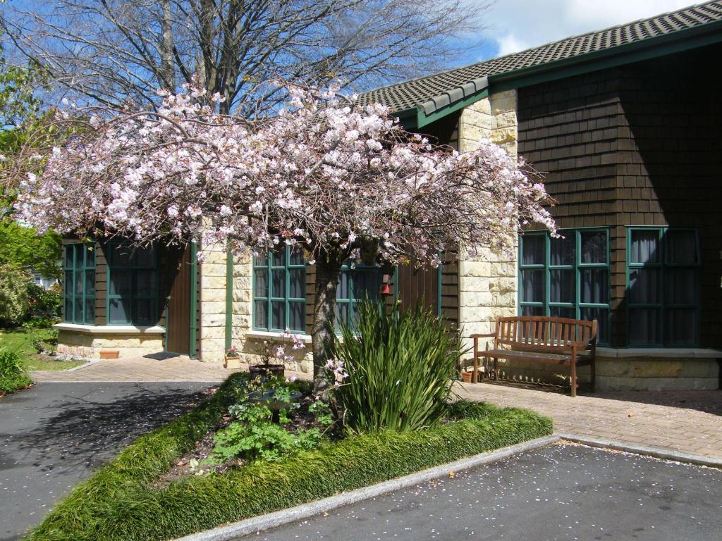Cambridge Mews Motel מראה חיצוני תמונה